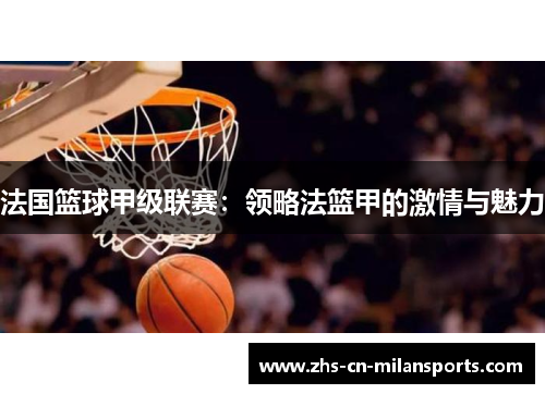 法国篮球甲级联赛：领略法篮甲的激情与魅力
