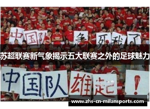苏超联赛新气象揭示五大联赛之外的足球魅力